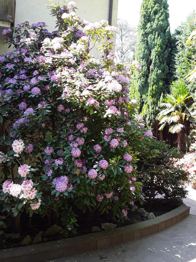 Villa Coris Ferienwohnung Palma Merano Esterno foto